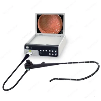 Tehase Hind Meditsiinis Kasutatav Paindlik Video Gastroscope Ühe-Kasutamine Digitaalse Gastroscopy Imaging Süsteemi inim-või Kutseharidus