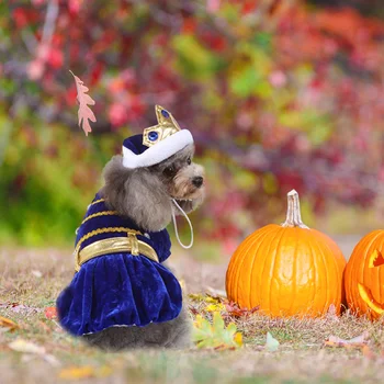 Seelik Pet Ümberkujundamise Cosplay Kostüüm Riided Koera Riided Halloween Elemendid Akrüül Armas Kass